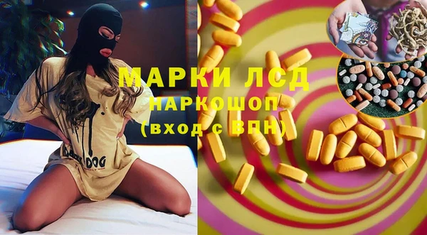 spice Верея